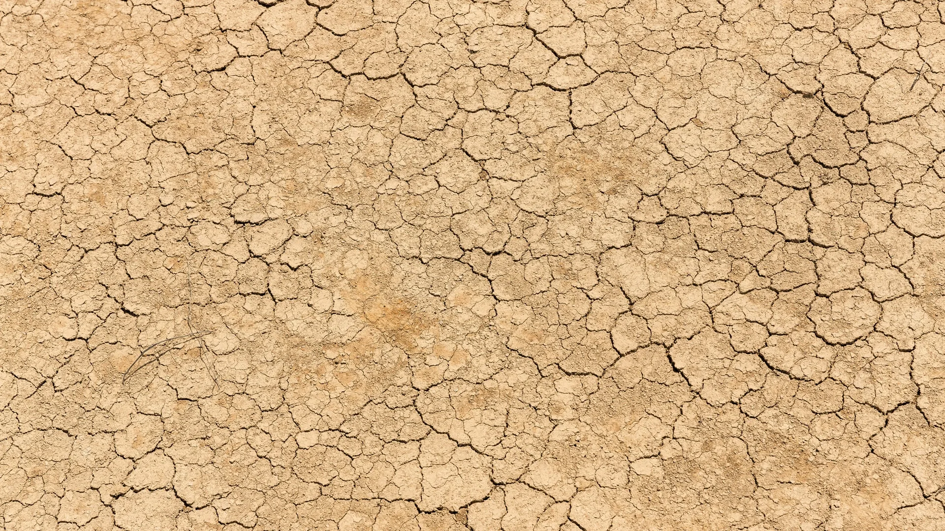 The Nexus Between Migration and Environmental Degradation Based on Fundamental Climate Variables and Extreme Climate Indices for the MENA Domain