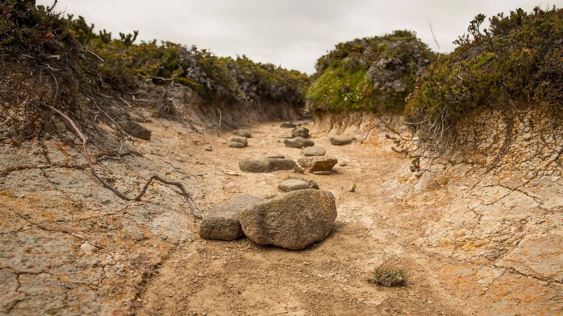 Global Climate Migration is a Story of Who and not Just How Many