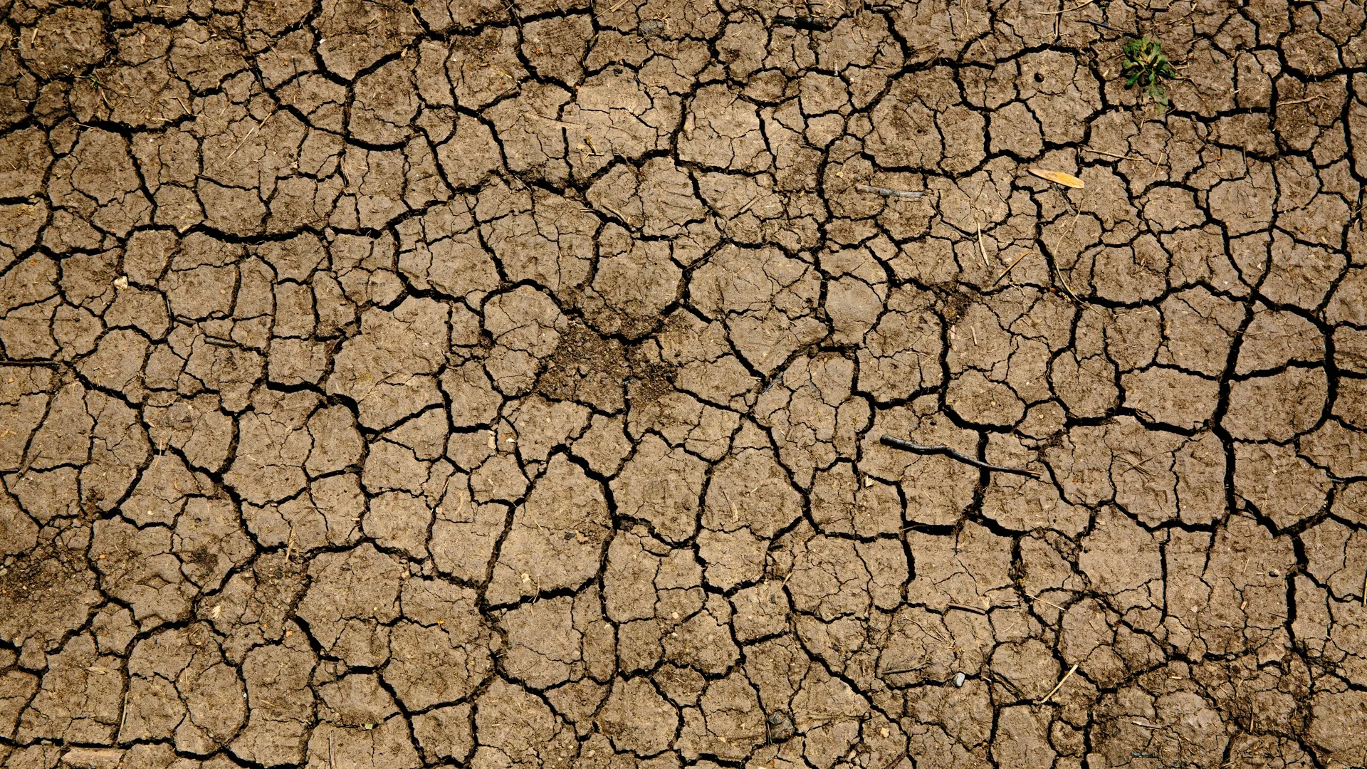 Climate-Induced Migration and Climate Immobility in Ghana: A Socio-Ecological Mixed Method Study